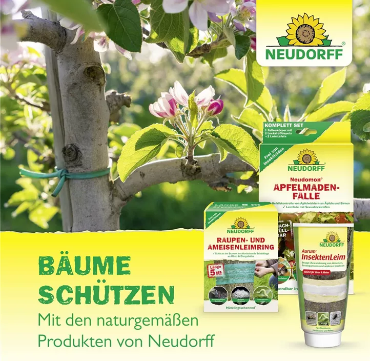 Neudomon Apfelmadenfalle Nachfüllung