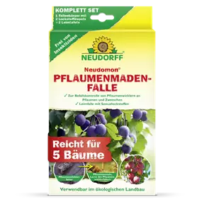 Neudomon Pflaumenmadenfalle