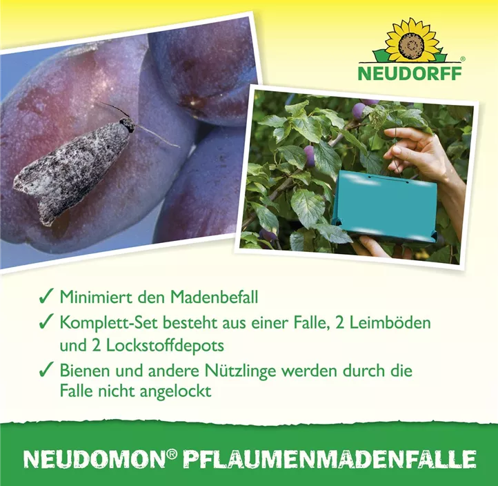 Neudomon Pflaumenmadenfalle