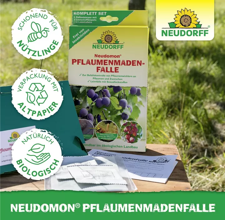 Neudomon Pflaumenmadenfalle
