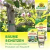 bellaflora Gartencenter GmbH