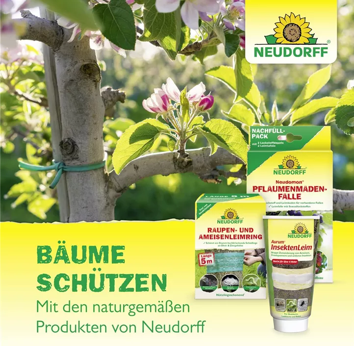 Neudomon Pflaumenmadenfalle