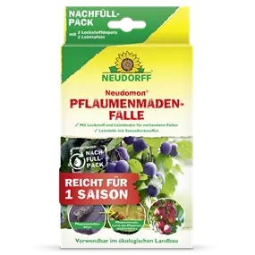 Neudomon Pflaumenmadenfalle Nachfüllung