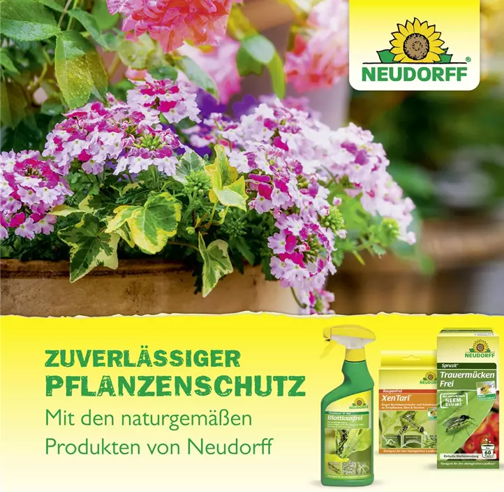 Neudosan AF Neu Blattlausfrei 