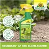 bellaflora Gartencenter GmbH