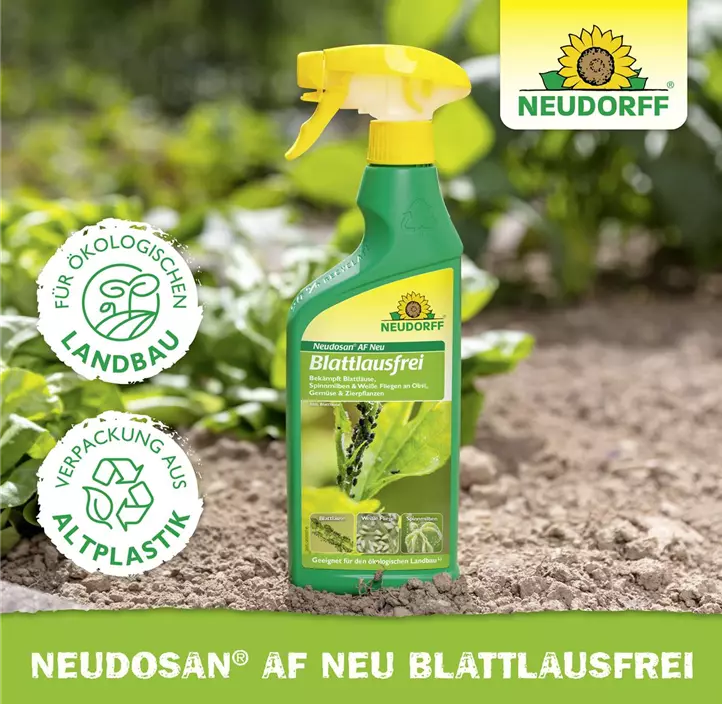 Neudosan AF Neu Blattlausfrei 