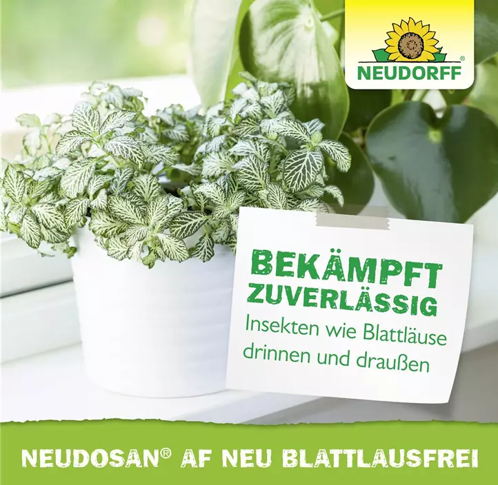 Neudosan AF Neu Blattlausfrei 