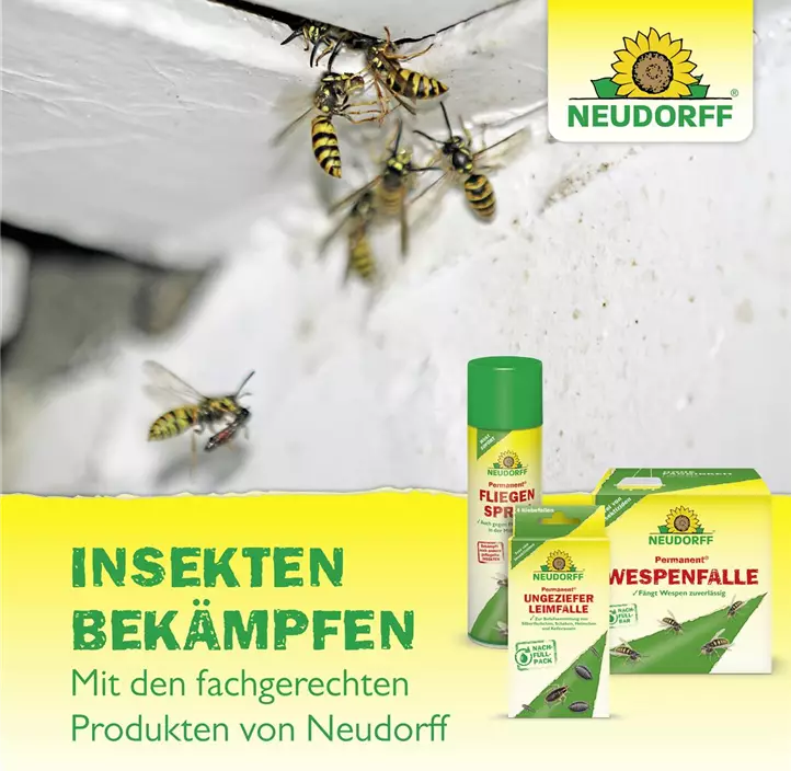 Permanent UngezieferEisSpray
