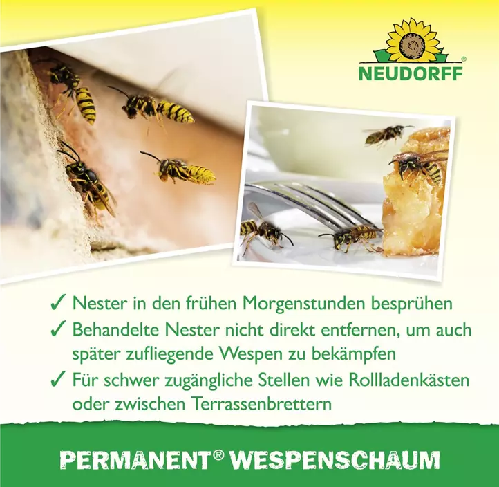 Permanent WespenSchaum