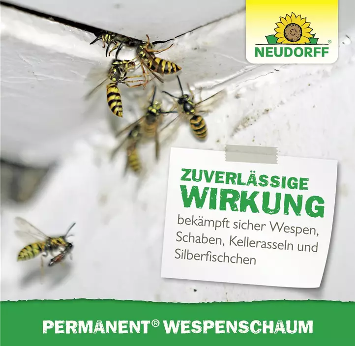 Permanent WespenSchaum