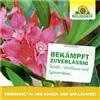 bellaflora Gartencenter GmbH