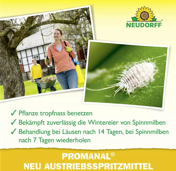 Promanal Austriebsspritzmittel