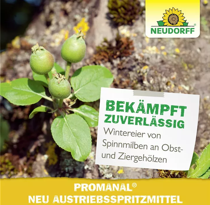 Promanal Austriebsspritzmittel