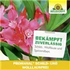 bellaflora Gartencenter GmbH