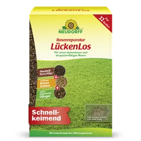 Rasenreparatur LückenLos, 2,5 kg