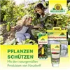 bellaflora Gartencenter GmbH