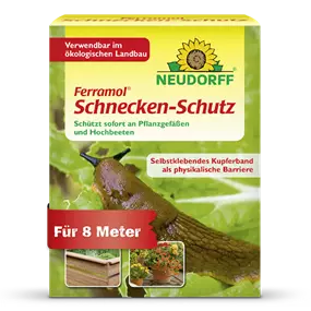 Schnecken -Schutz
