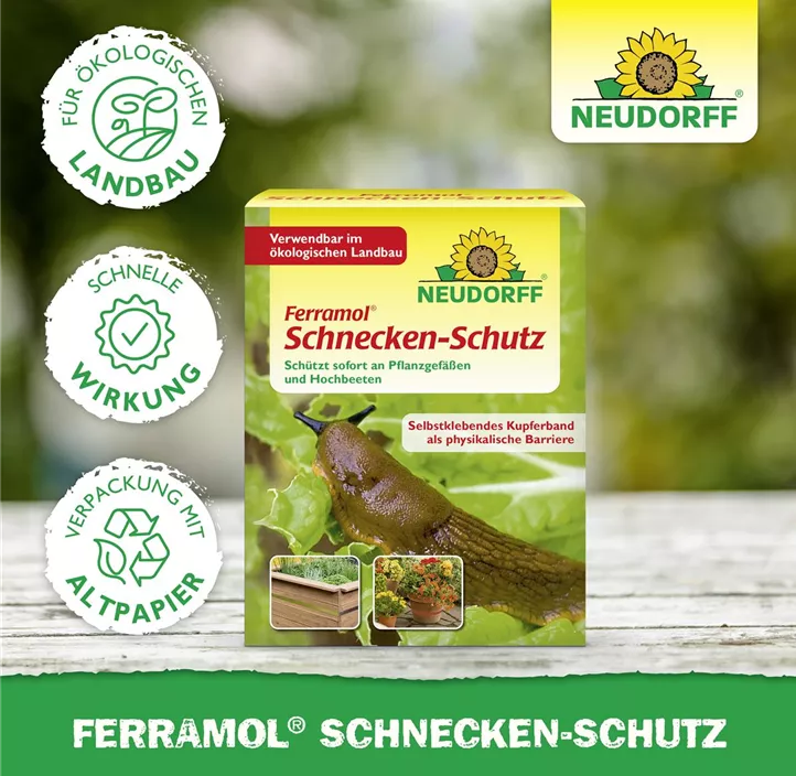 Schnecken -Schutz