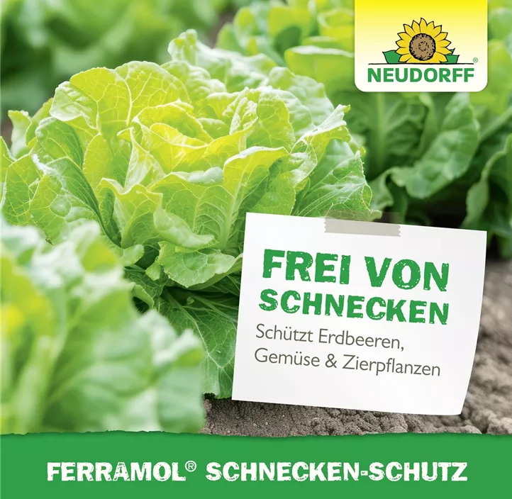 Schnecken -Schutz