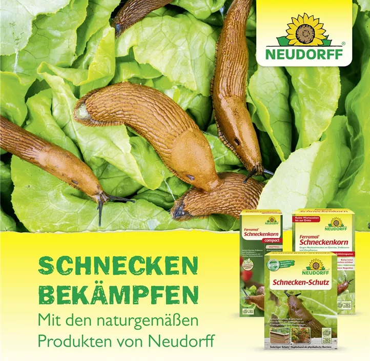 Schnecken -Schutz