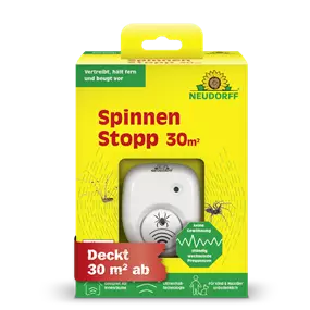SpinnenStopp
