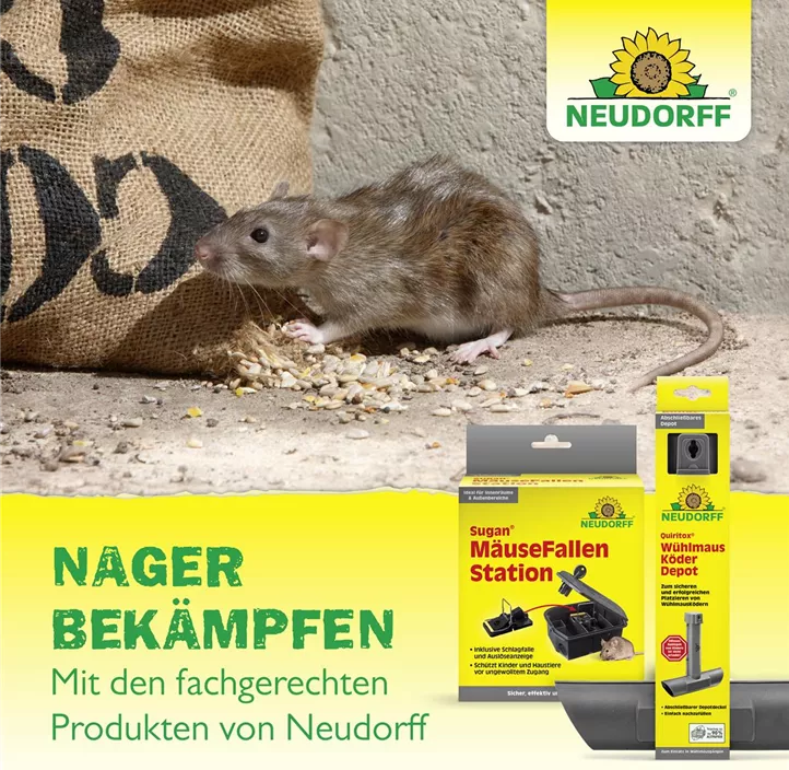SpinnenStopp