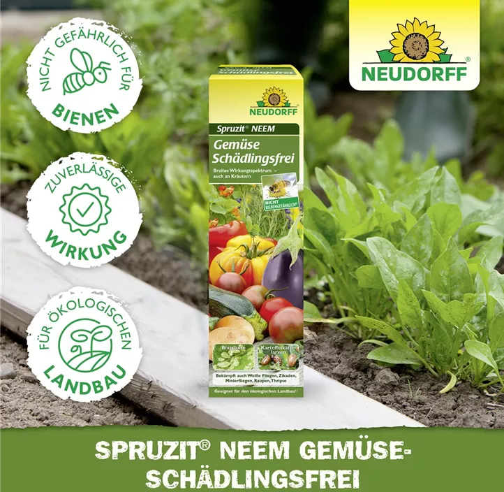 Spruzit NEEM Gemüse Schädlingsfrei