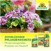 bellaflora Gartencenter GmbH