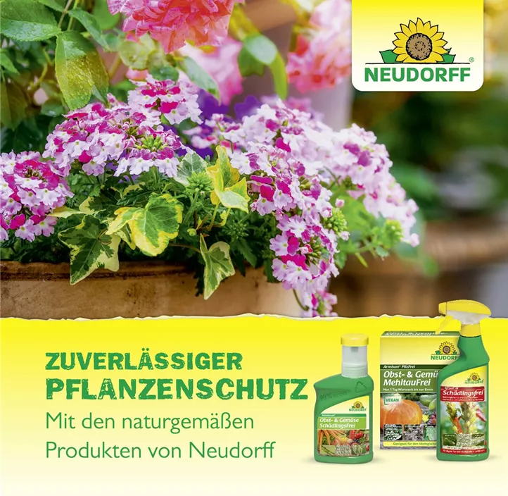 Spruzit Neem ZierpflanzenSchädlingsfrei