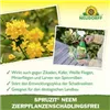 bellaflora Gartencenter GmbH