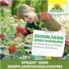 bellaflora Gartencenter GmbH