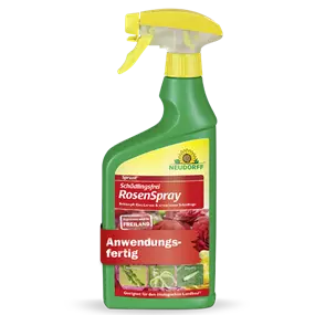 Spruzit Schädlingsfrei RosenSpray