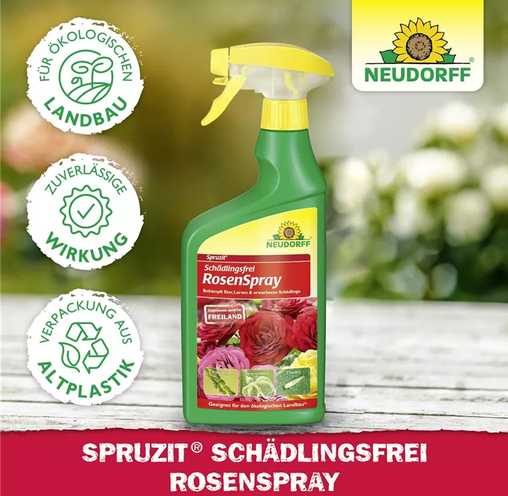Spruzit Schädlingsfrei RosenSpray