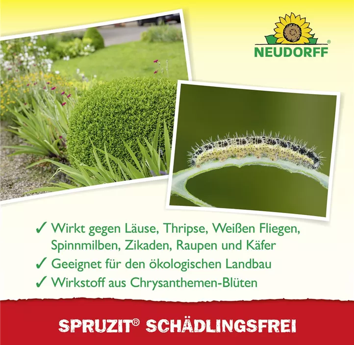 Spruzit Schädlingsfrei, 100 ml