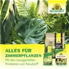 bellaflora Gartencenter GmbH