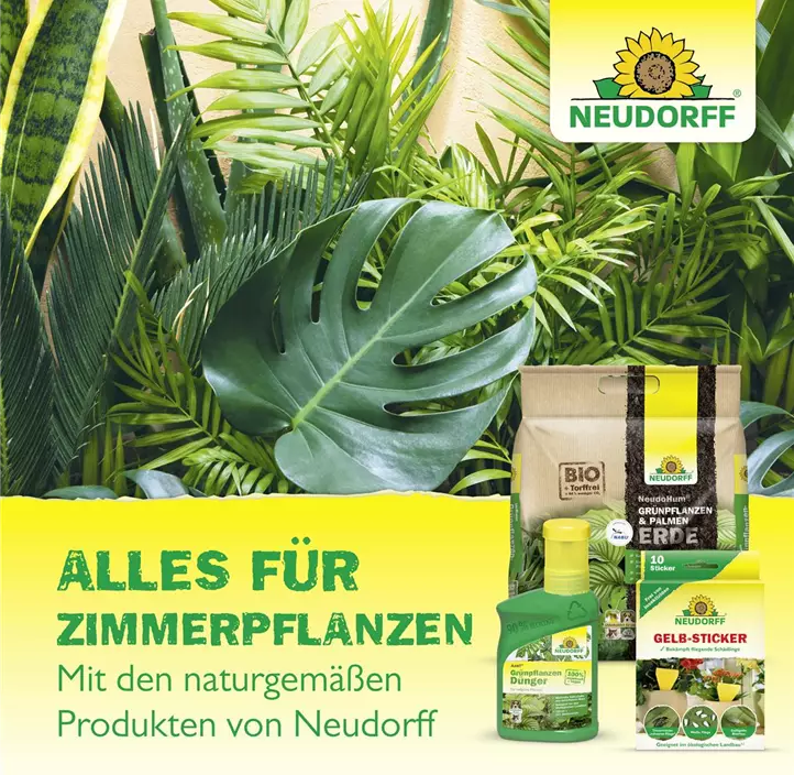 Spruzit Trauermückenfrei