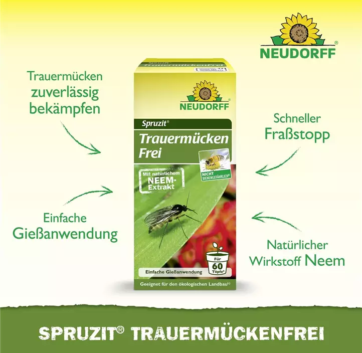 Spruzit Trauermückenfrei