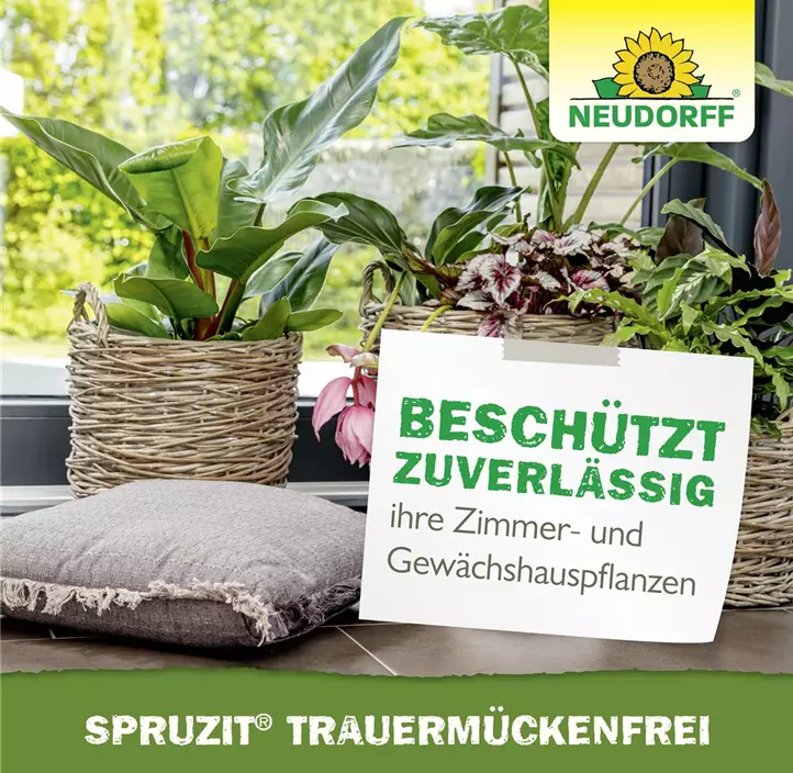 Spruzit Trauermückenfrei