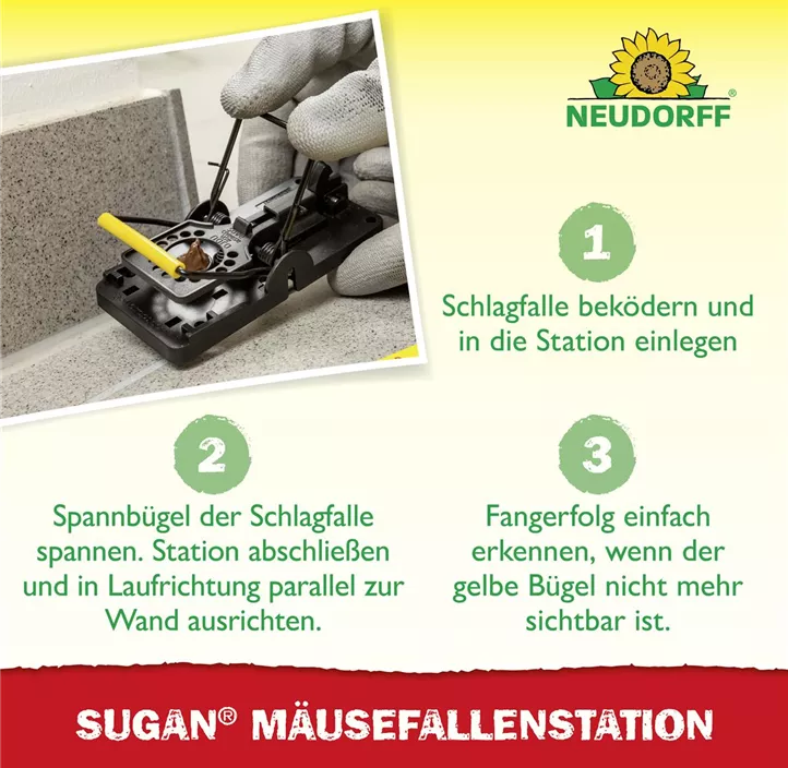 Sugan Mäusefalle Station