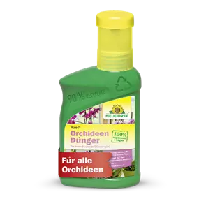 Azet OrchideenDünger flüssig