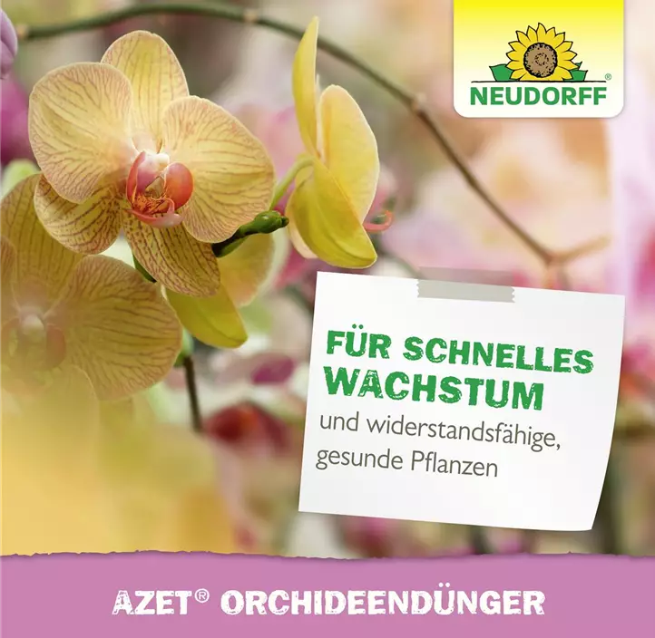Azet OrchideenDünger flüssig