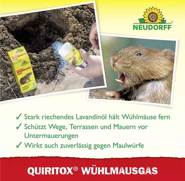 Quiritox WühlmausGas