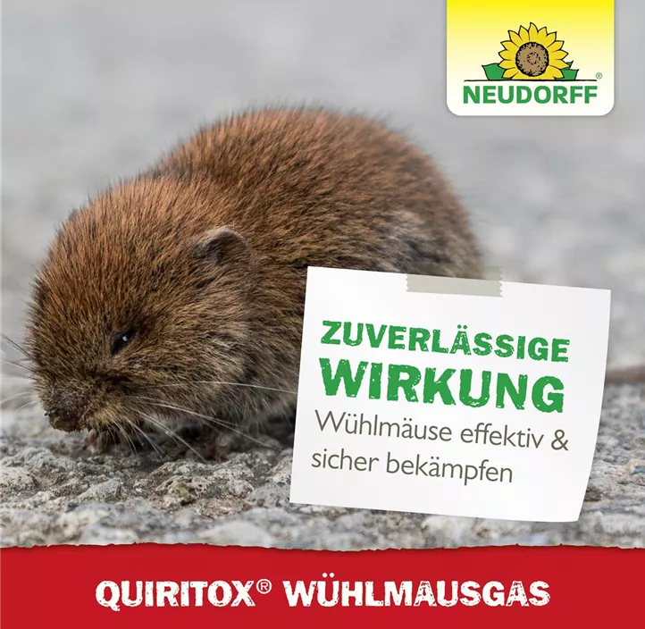 Quiritox WühlmausGas