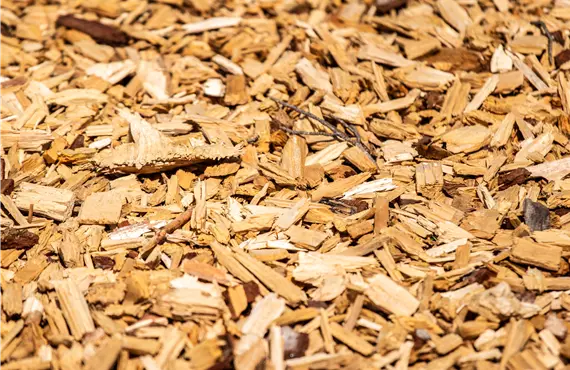 Rindenmulch Rindenmulch