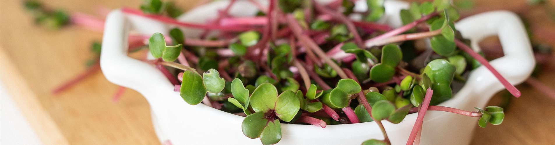 Header Microgreens