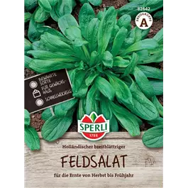 Feldsalat Holländischer breitblättriger