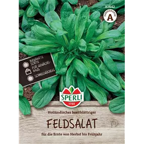Feldsalat Holländischer breitblättriger