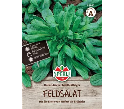 Feldsalat Holländischer breitblättriger