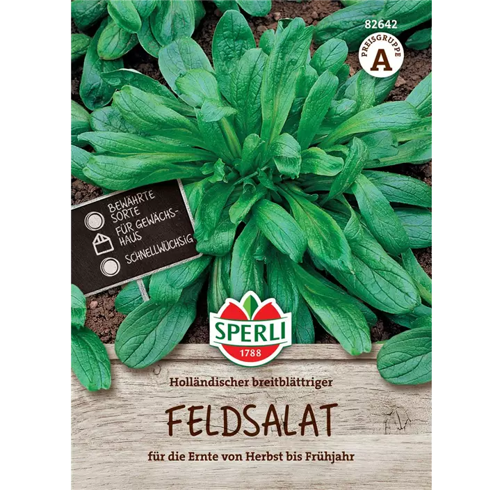 Feldsalat 'Holländischer Breitblättriger'