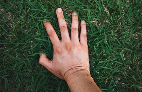 Hand auf Rasen